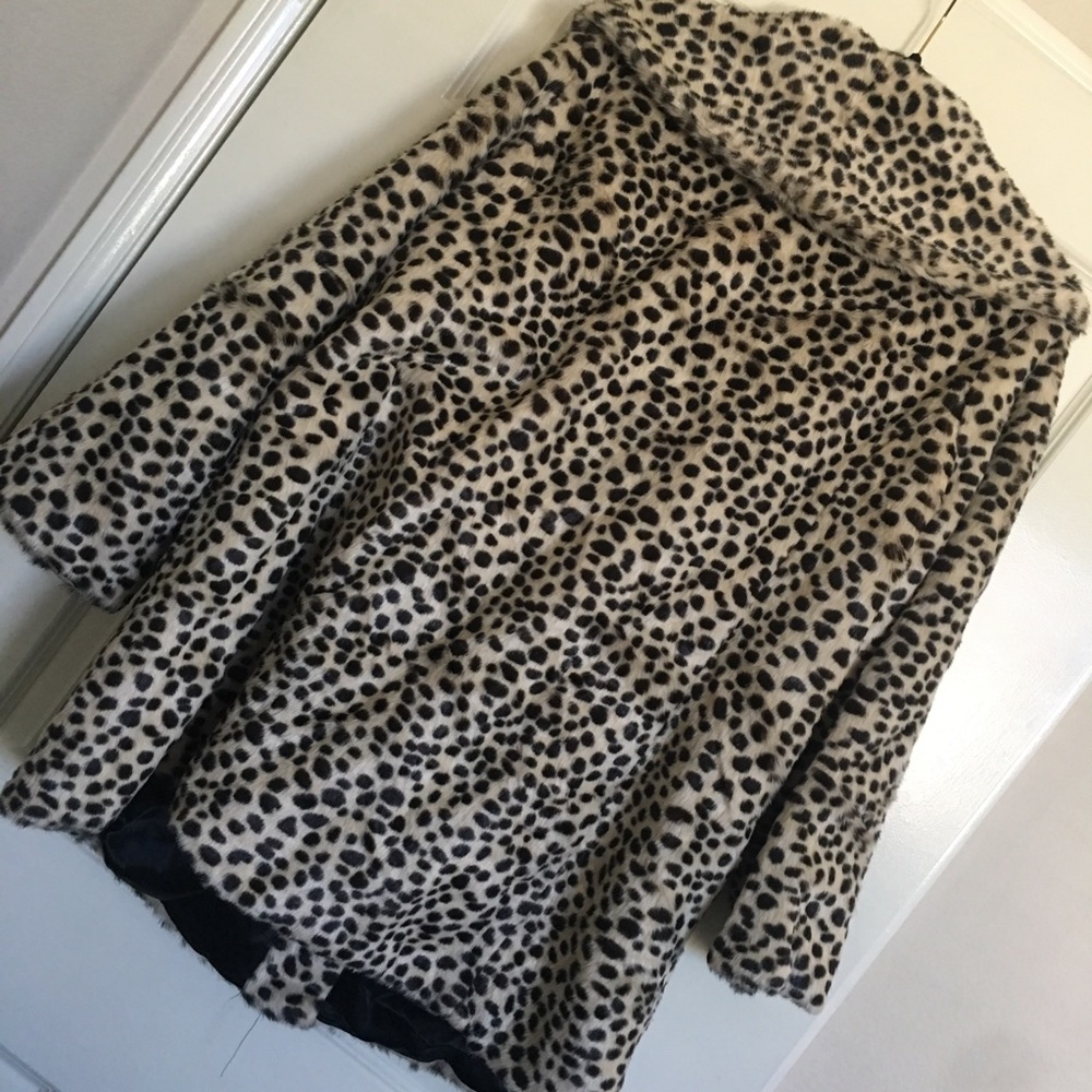 Leopard Jacket - Picture 4 of 4
